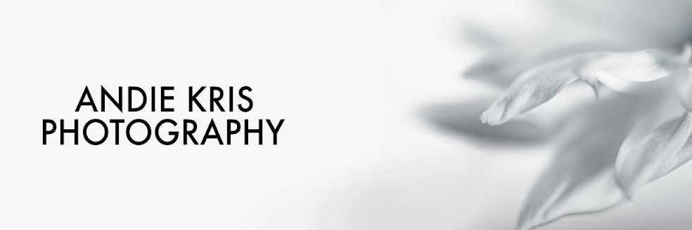 AndieKrisPhoto's profile banner image