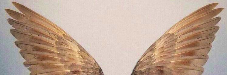 katob92's profile banner image