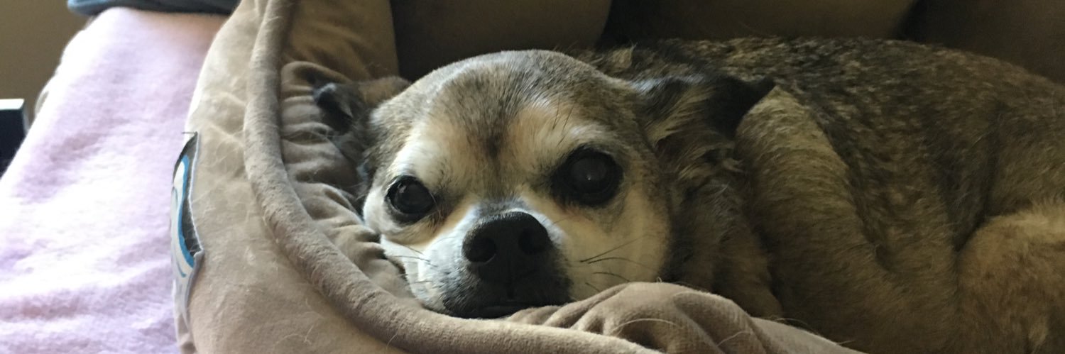 samamiico's profile banner image