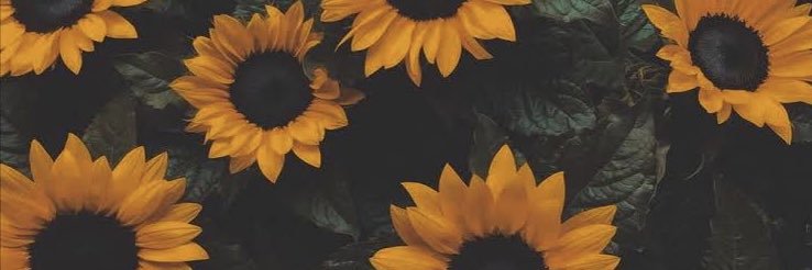 OrmVinee's profile banner image