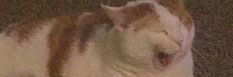 MikenzyL's profile banner image