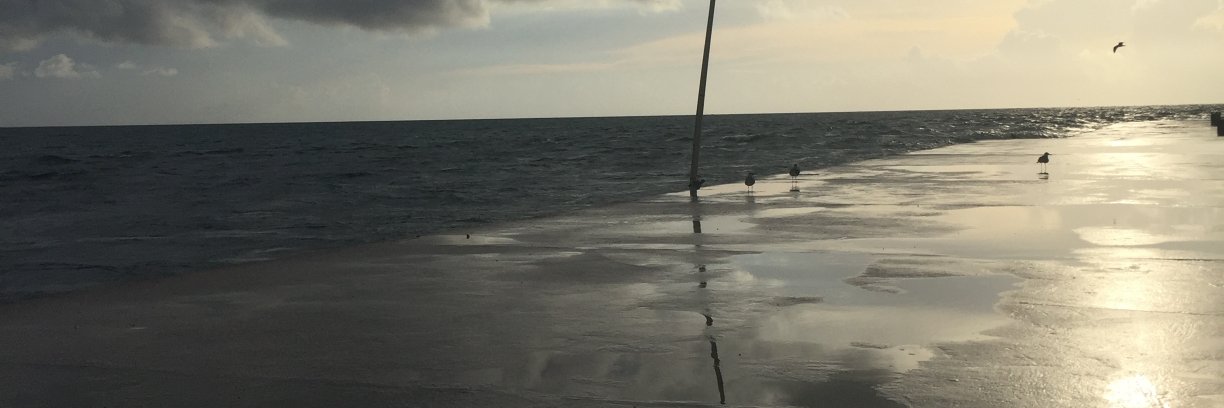 Rafchelala's profile banner image