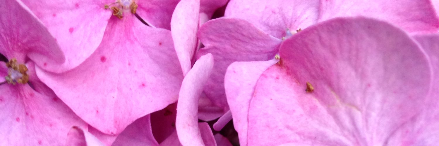 brandonboylen's profile banner image