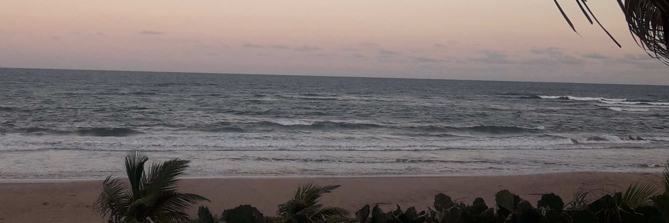 RNannizzi's profile banner image