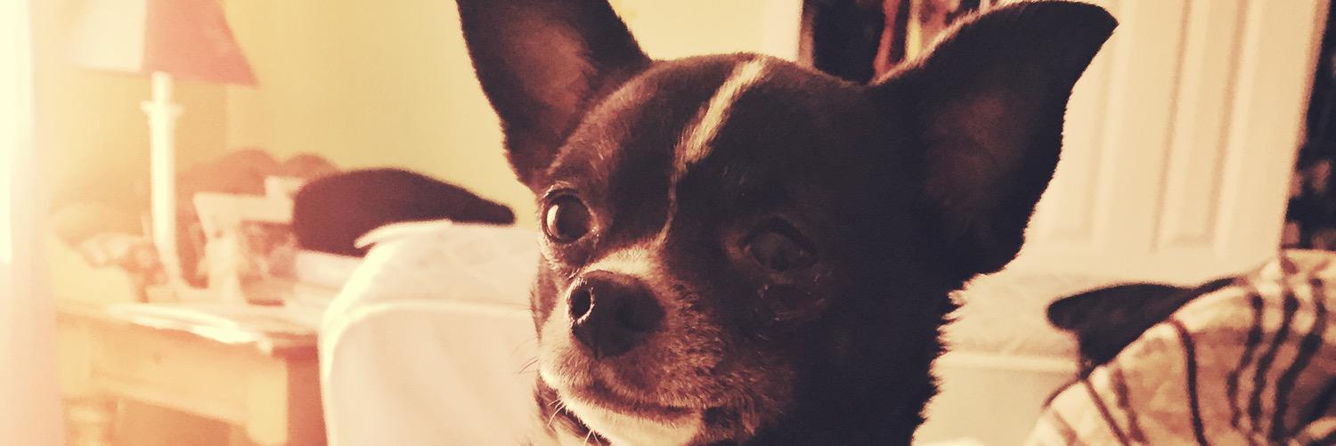 catherineeee37's profile banner image