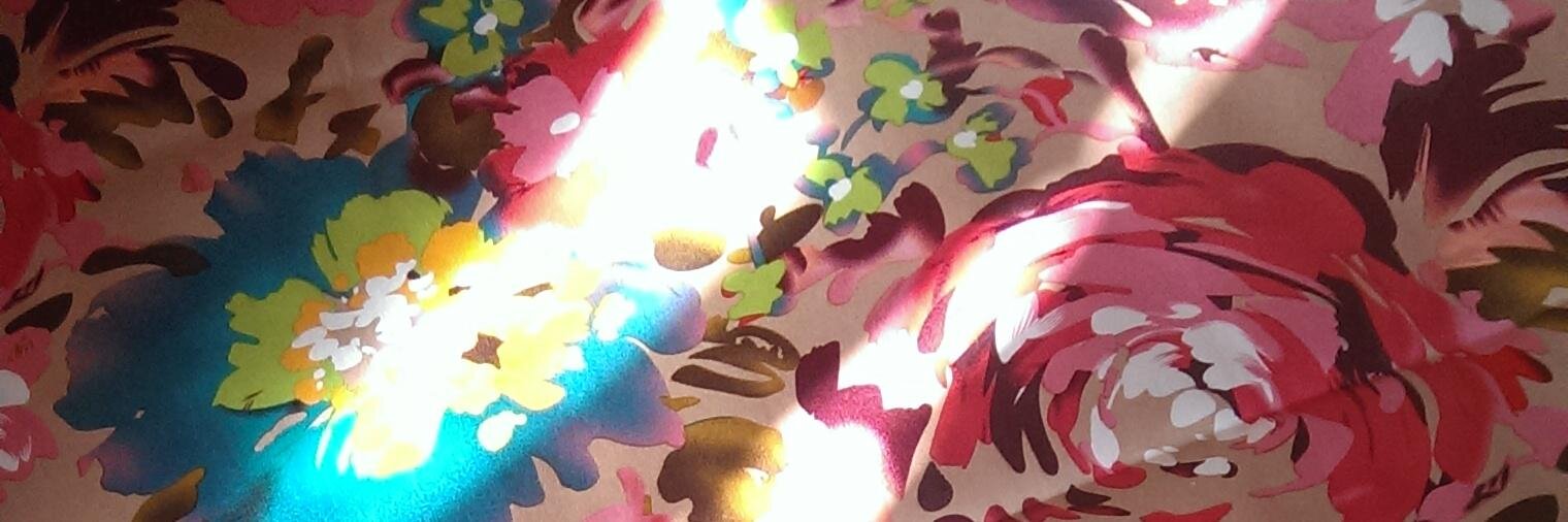 Chiara Cattra banner