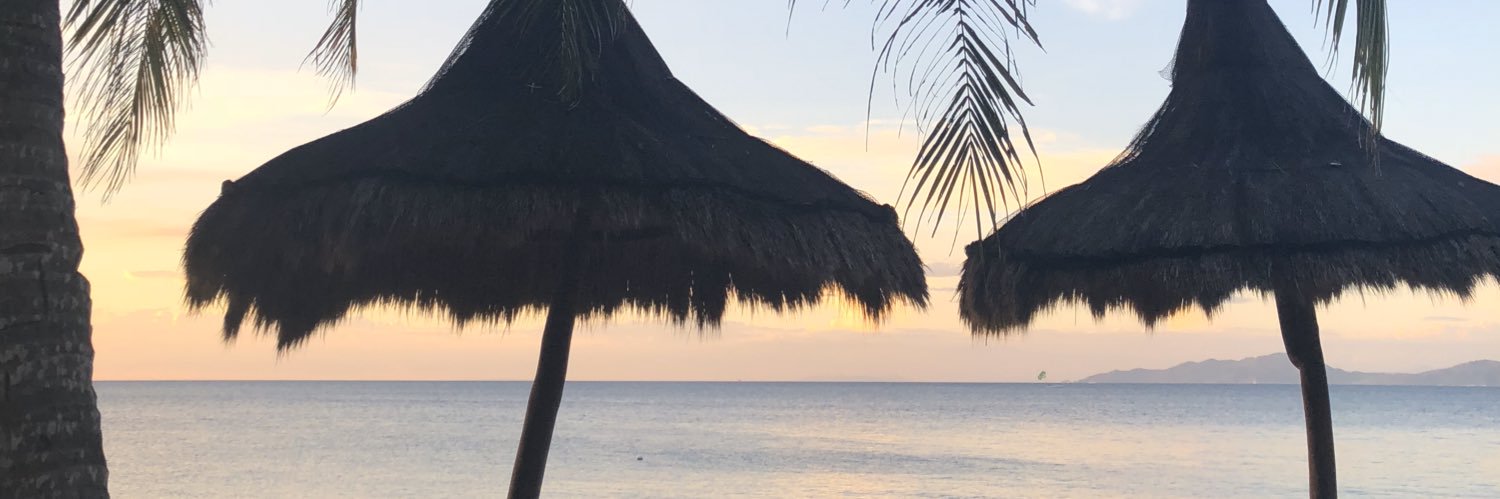 𝘬𝘳𝘪𝘴𝘵𝘪𝘯𝘦 𝘯𝘪𝘤𝘰𝘭𝘦 banner