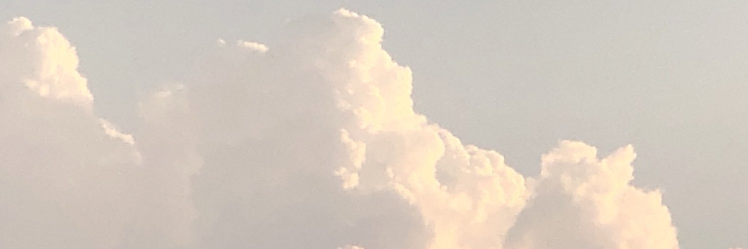 telliuj's profile banner image