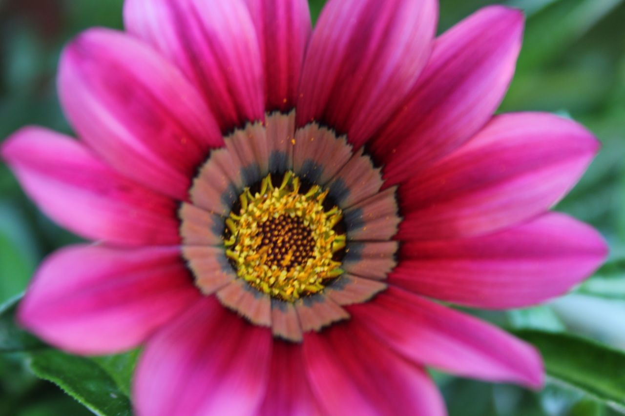 stefaniewiggers's profile banner image