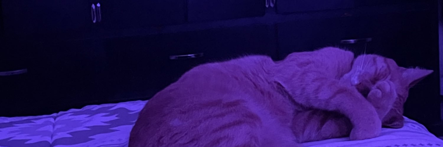 gibranjauregui's profile banner image