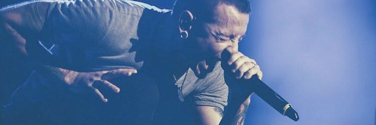 pat_taborda's profile banner image