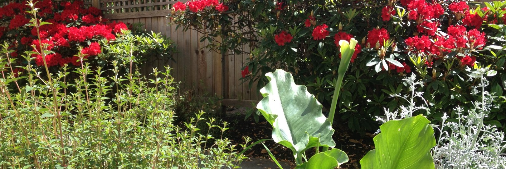 Laurie Mac🍁🐾⚖️🍁 banner