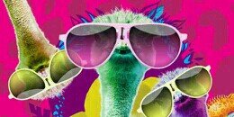 Kids Choice Awards banner