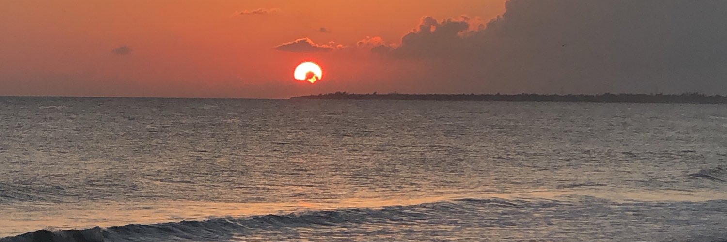 MSkoggy's profile banner image