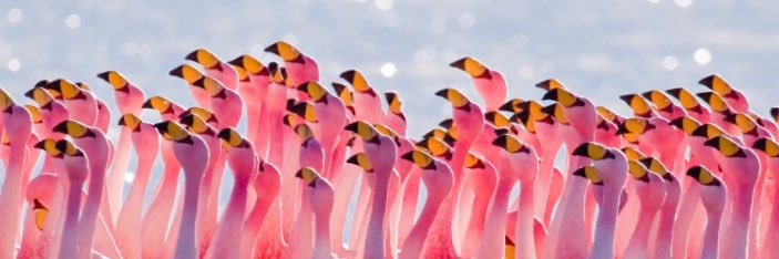 s0epkippy's profile banner image