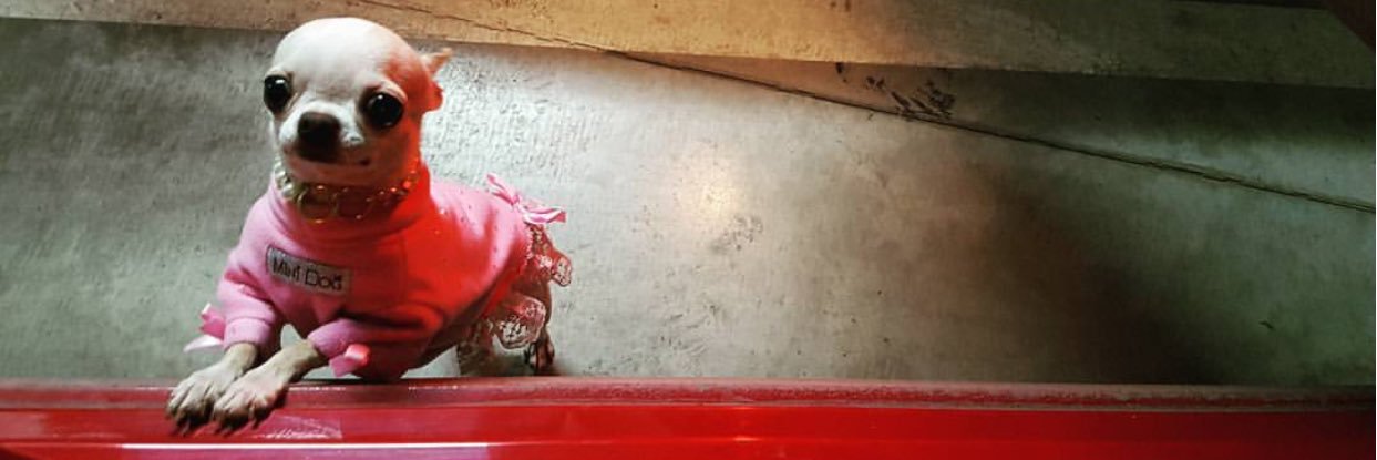 beriilinko's profile banner image