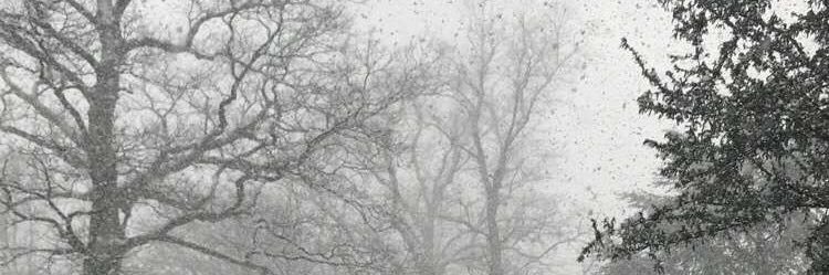 dbabydxo's profile banner image