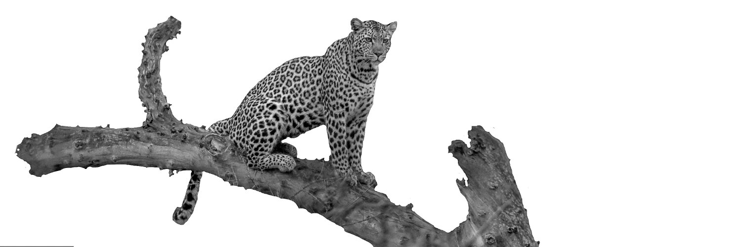 SheilaNewby's profile banner image