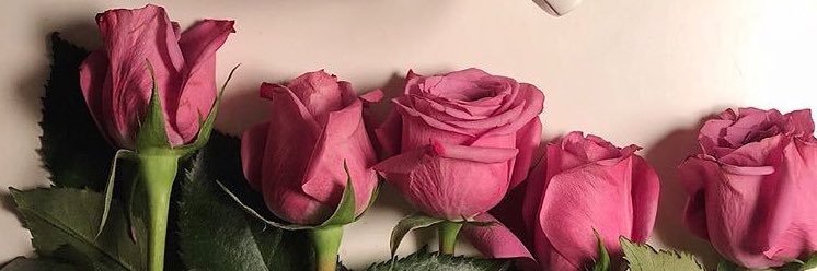 mariamsaif2's profile banner image