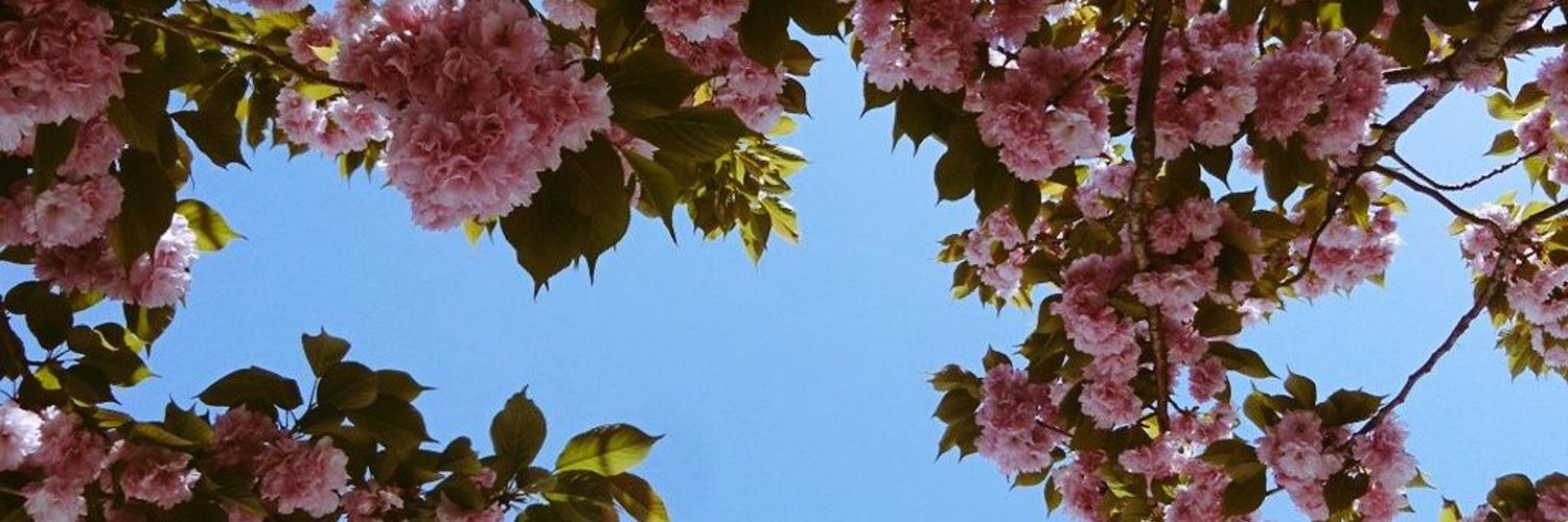 rihpixie's profile banner image