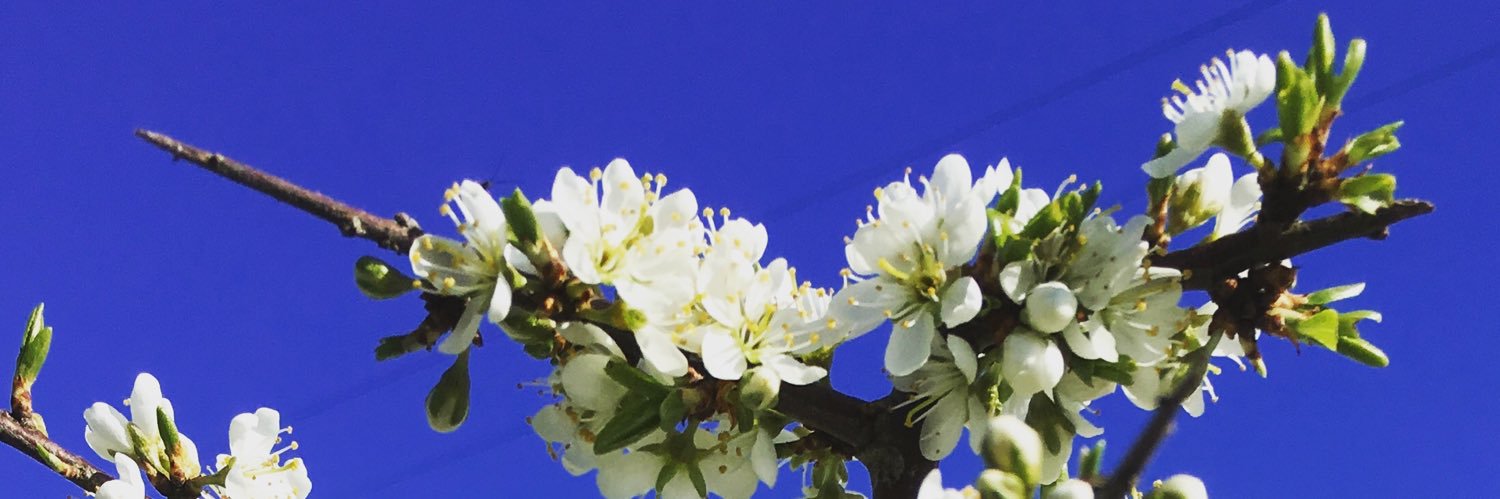 Patrick Hurley banner