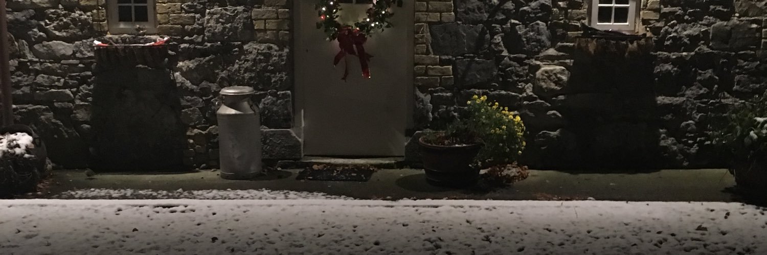 Mary Do banner