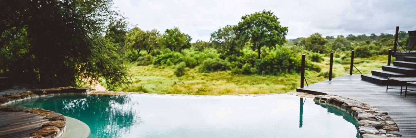 moniquedecaro's profile banner image