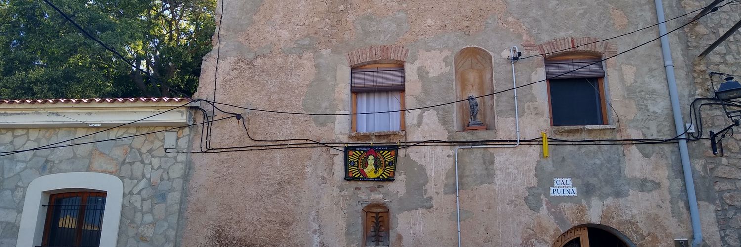 Sadako (Anna) 🐦 banner