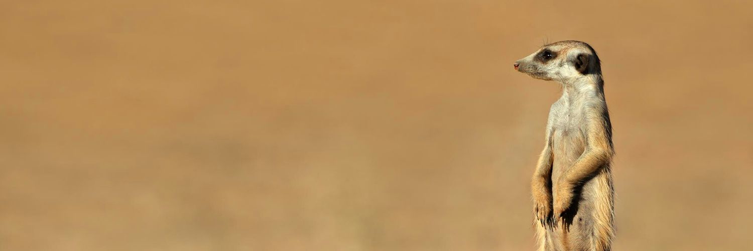 adritownsend's profile banner image