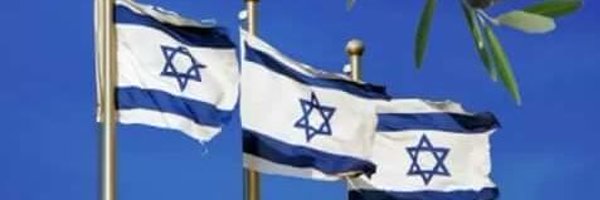 SteelyDanDan Profile Banner