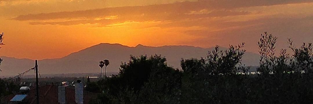 Nikpapanonymous's profile banner image