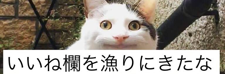 kouchan1028's profile banner image