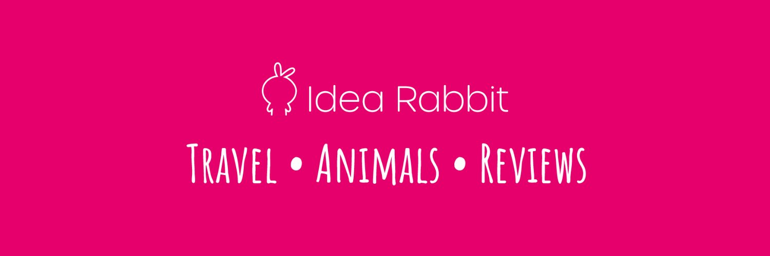 idea_rabbit's profile banner image