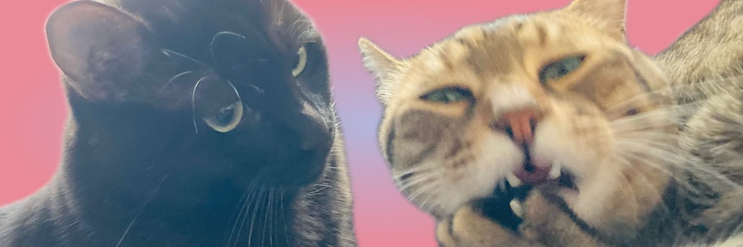 オスキャル🐈🐈‍⬛ banner