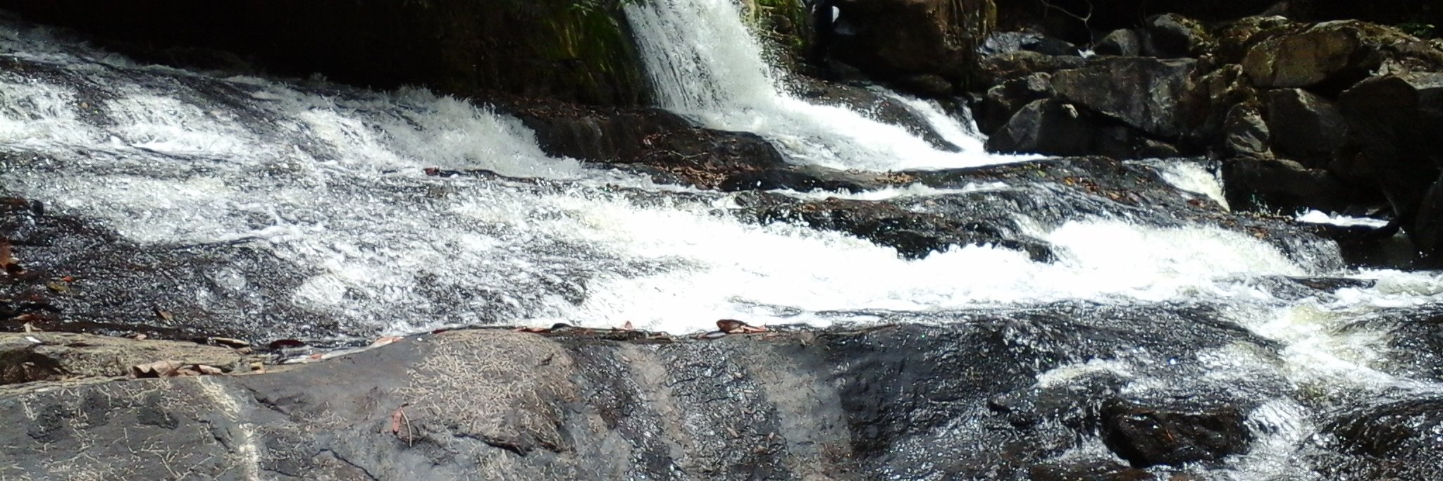 Charles Lawrence banner