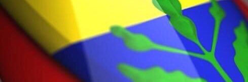 DuyguECE's profile banner image