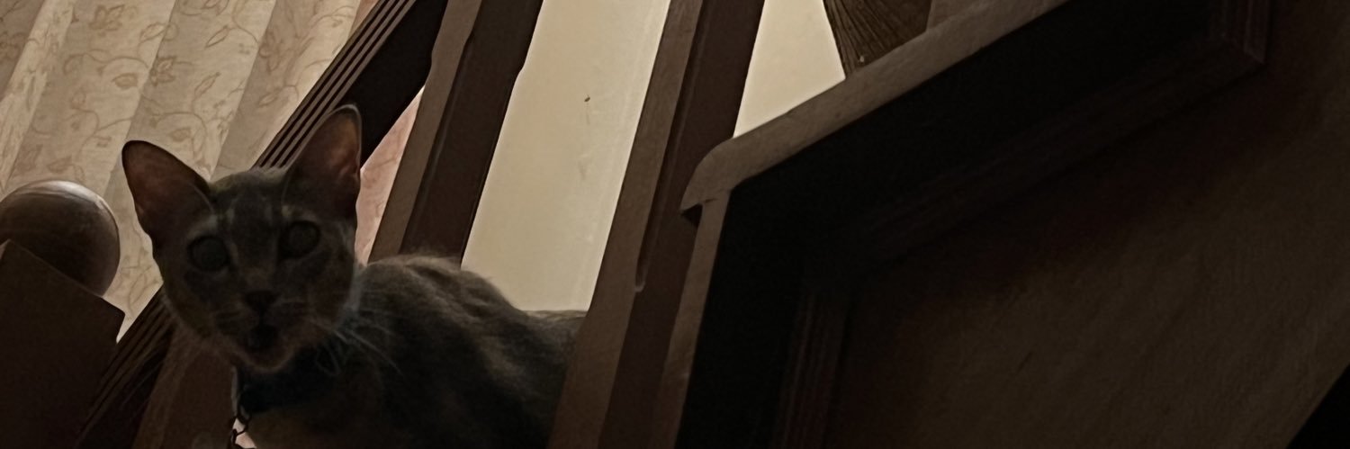 K banner