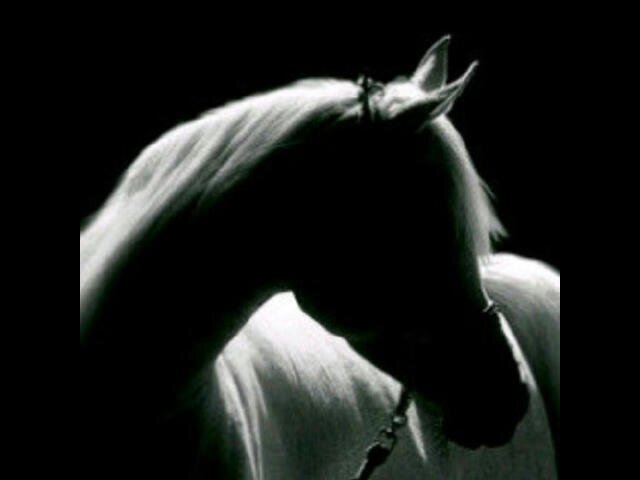 mtaeb999's profile banner image