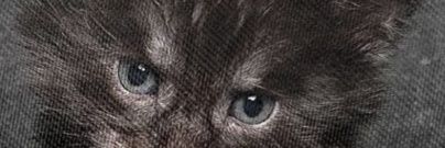 ABuczak's profile banner image