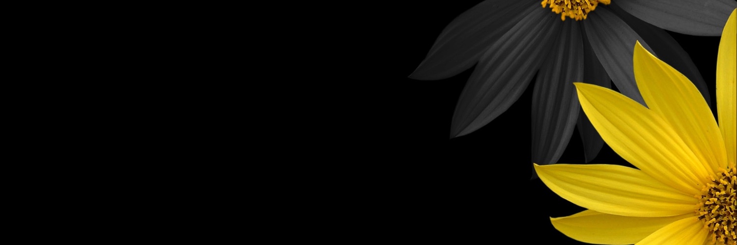 dnd911's profile banner image