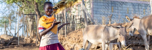 TheBrooke Profile Banner