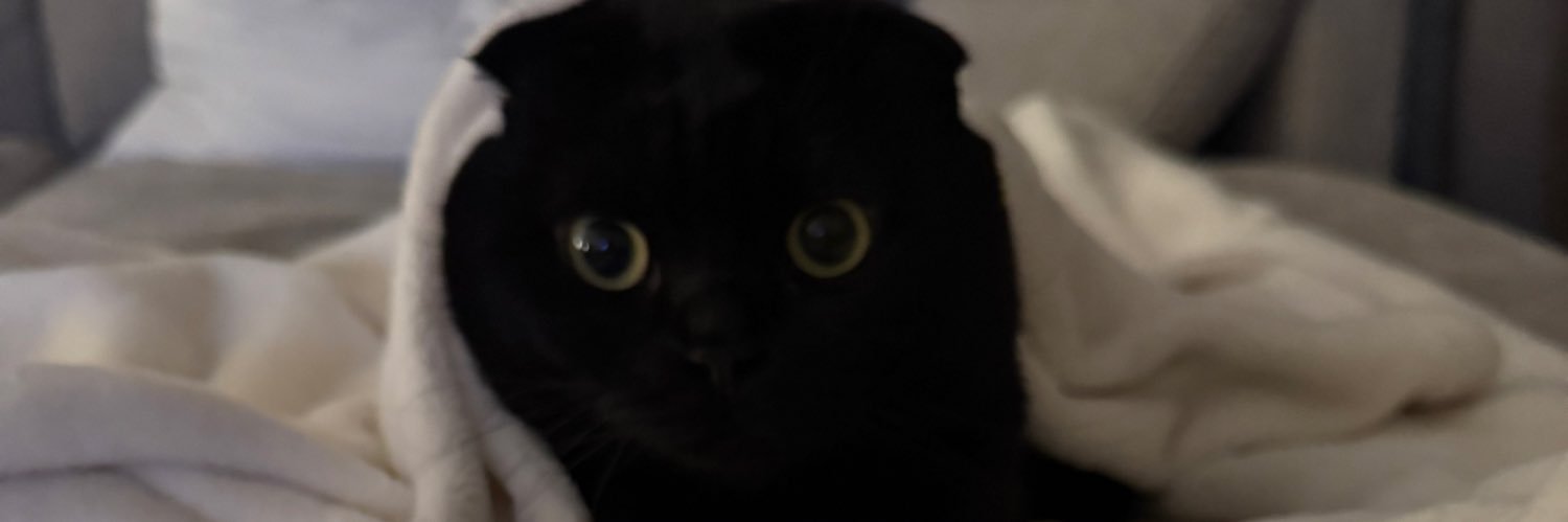 _shamiix's profile banner image