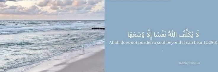 RoniyMostafa's profile banner image