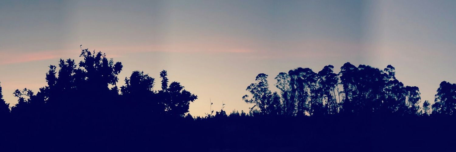 MariaJ_Esteves's profile banner image