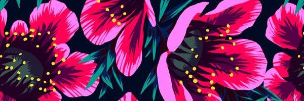 MissLuchi306's profile banner image