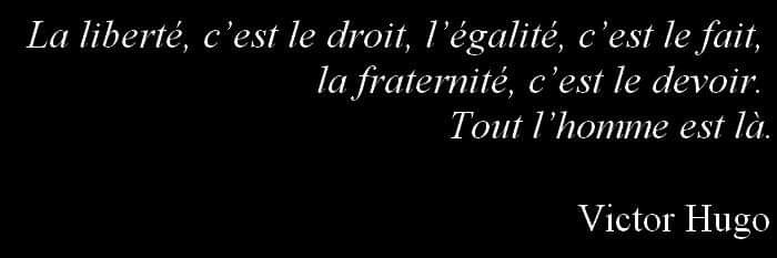 Aντάρτις banner