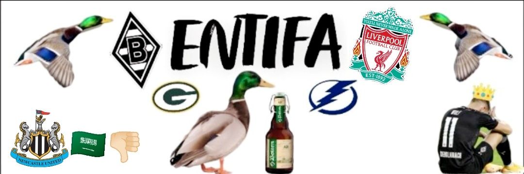 ENTIFA🦆《B》 banner