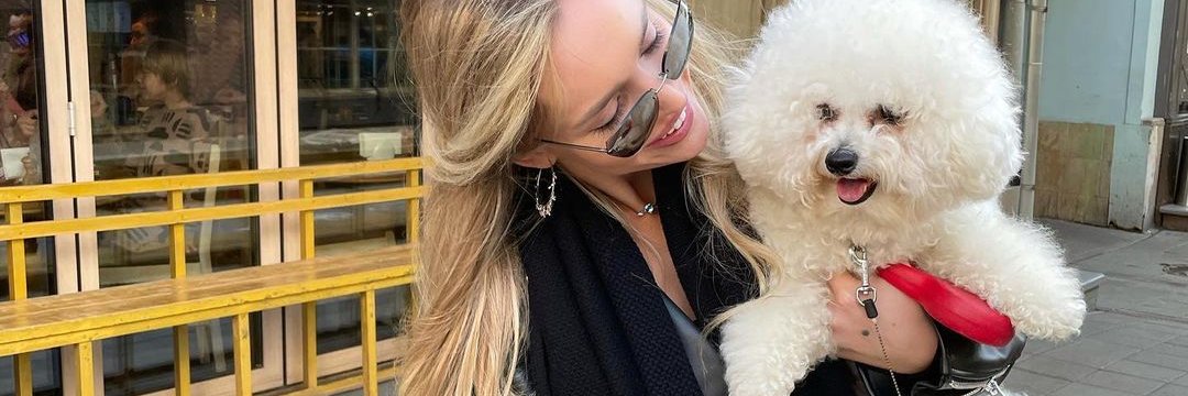 danicazimmer's profile banner image