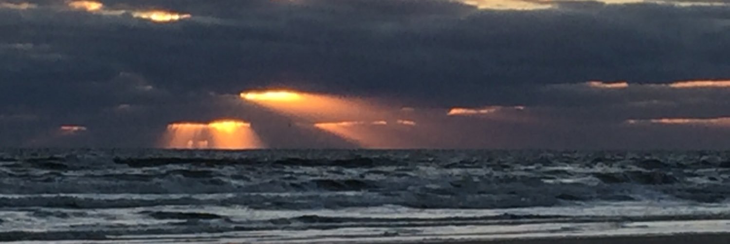 David Pounder banner