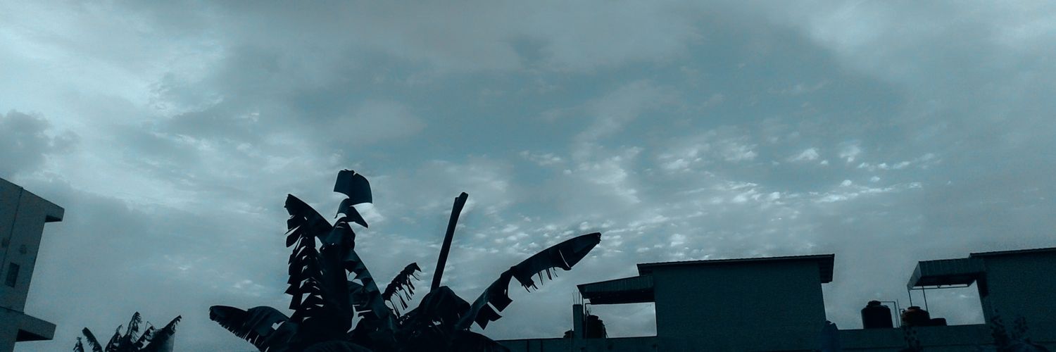violinep_'s profile banner image
